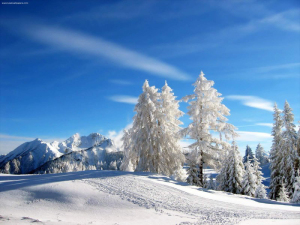 beautiful-winter-snow-800x600